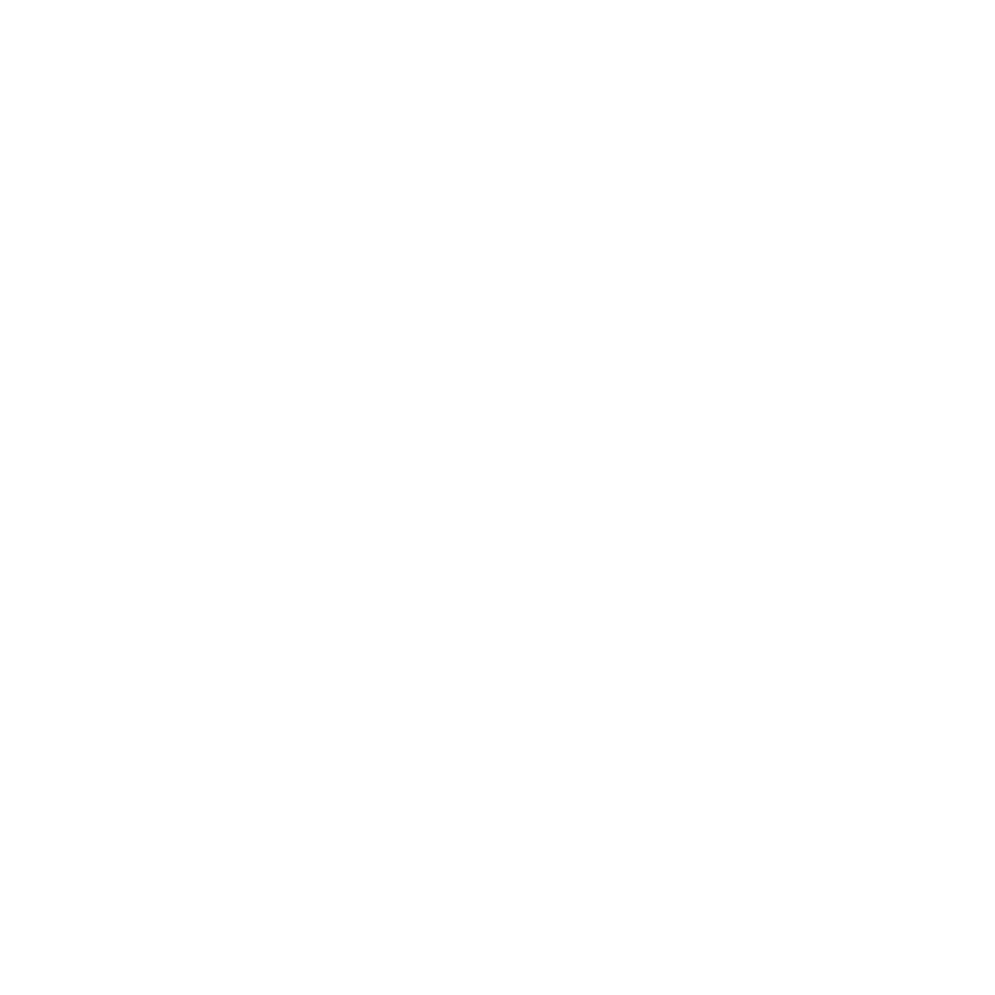Logo FEMEFI